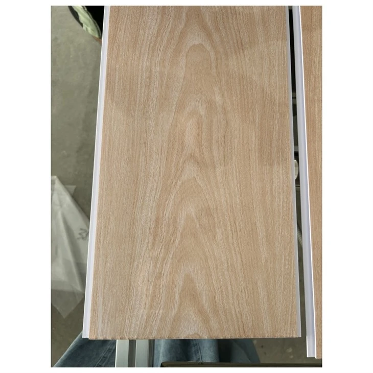 Panou PVC Techo PVC