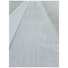 Panoul de plafon din PVC Foaie de perete Columbia