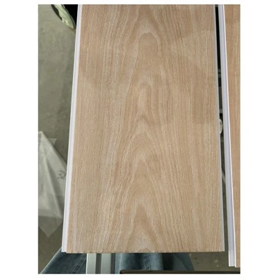 Panou PVC Techo PVC