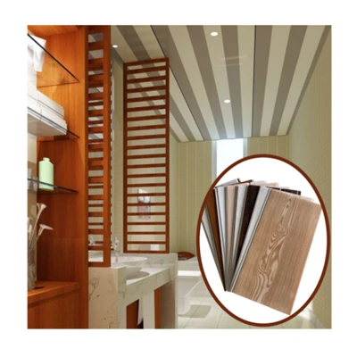 Panou PVC Techo PVC